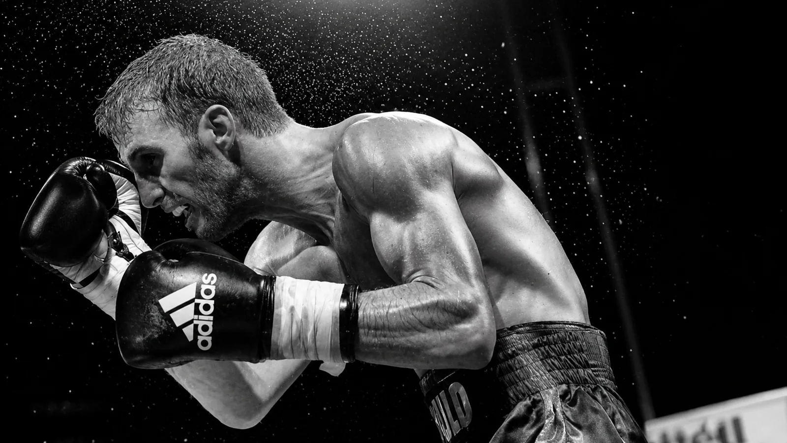 Préparation compétition boxe